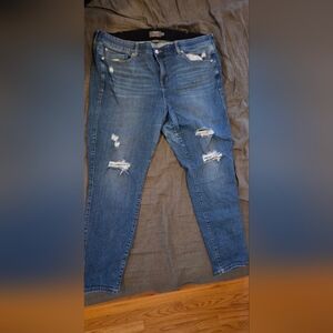 Torrid Distressed Skinny Jeans in Blue